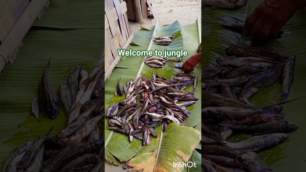 Fishing camping/