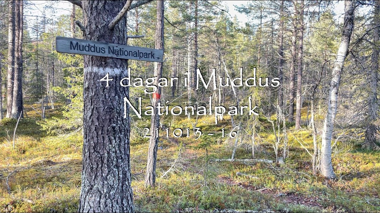Muddus Nationalpark 4 dagars höstvandring 211013-16