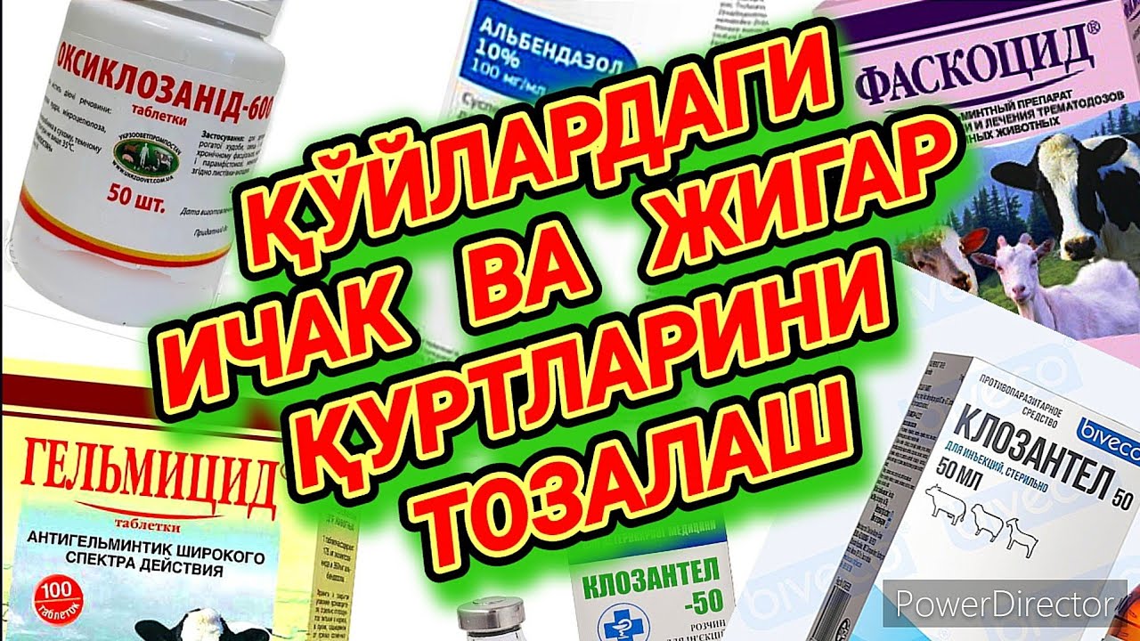 ҚЎЙЛАРДАГИ ИЧАК ВА ЖИГАР ҚУРТЛАРИНИ ТОЗАЛАШ.