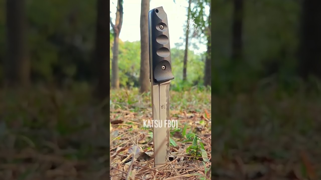 Back in the wild with your FB01.