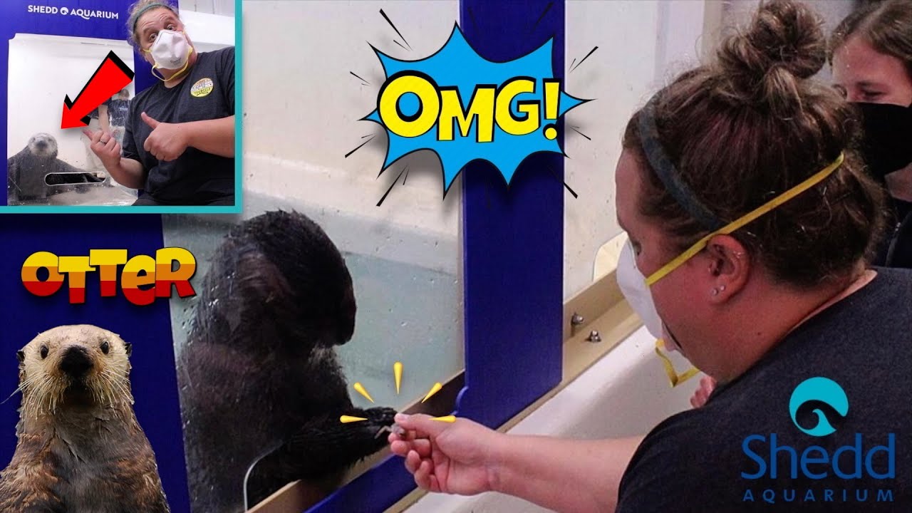 Playing With Otters !!! (ONCE IN A LIFETIME OPPORTUNITY)