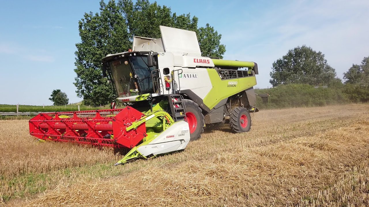 Helvéciai Suhancok: Búza aratás 2024 [Claas Lexion 6600, 650, Fendt 720, Mtz 820]