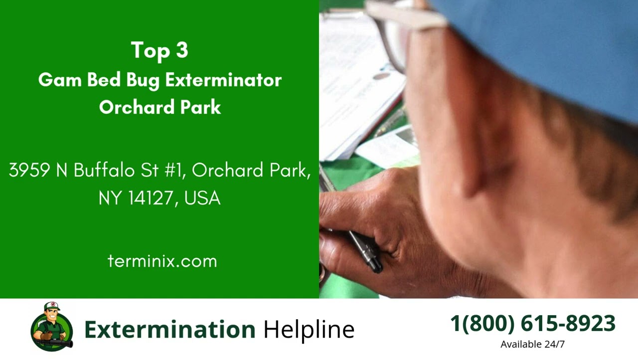 Top 3 Exterminators in Orchard Park