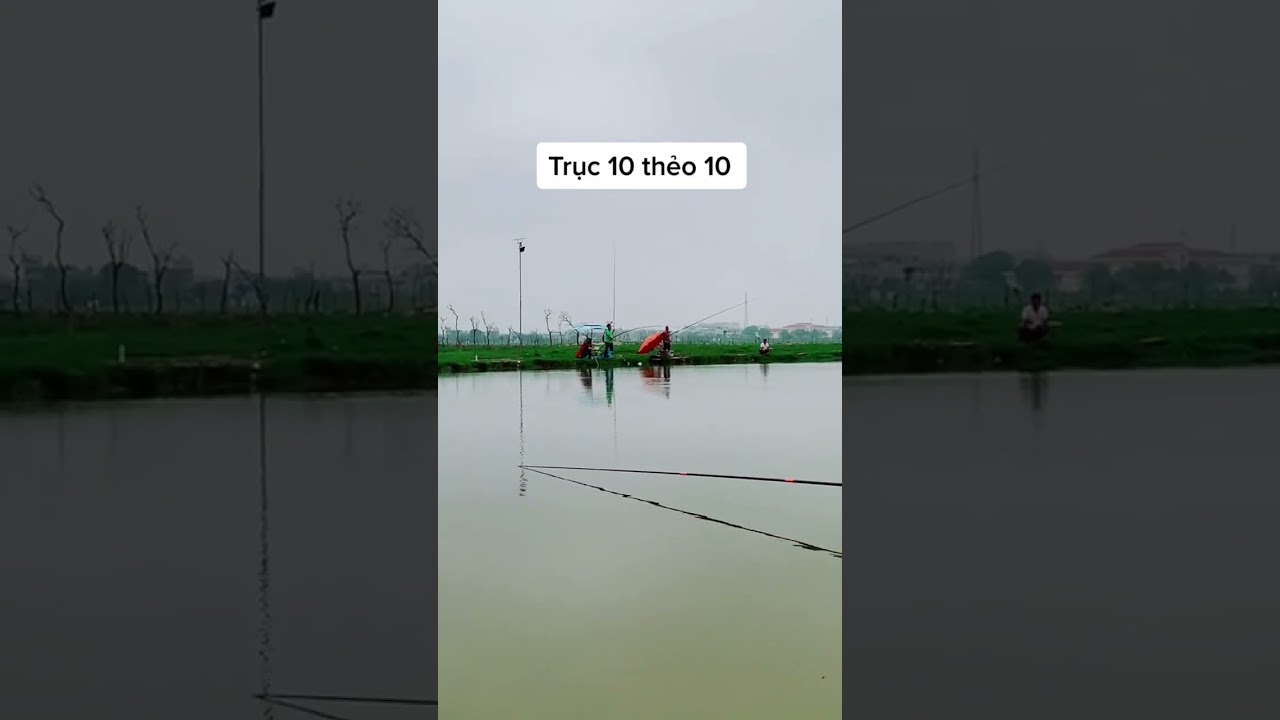 Bo c&aacute; như n&agrave;y mới ph&ecirc; c&aacute;c cụ nhỉ #khanhvlog #cauca #fishing #shorts