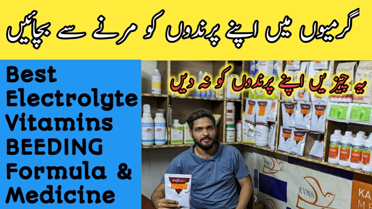 Birds Electrolyte Vitamins & Breeding Formula ||Birds Dehydration Problems ||B4BIRDS