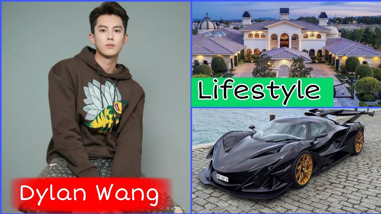 Dylan Wang Biography Networth Nationality Girlfriend Facts Income lifestyle MJ Creation