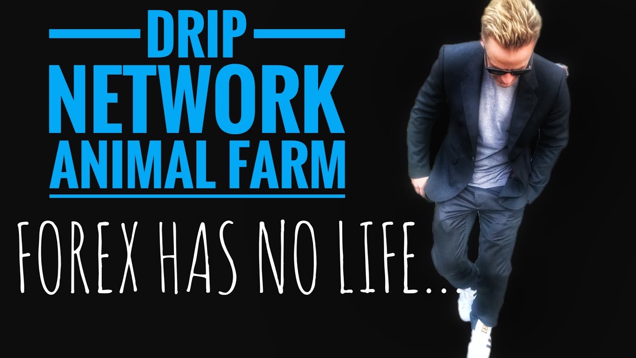 🐷ANIMAL FARM | DRIP NETWORK 💧| This Explains Everything... 💥