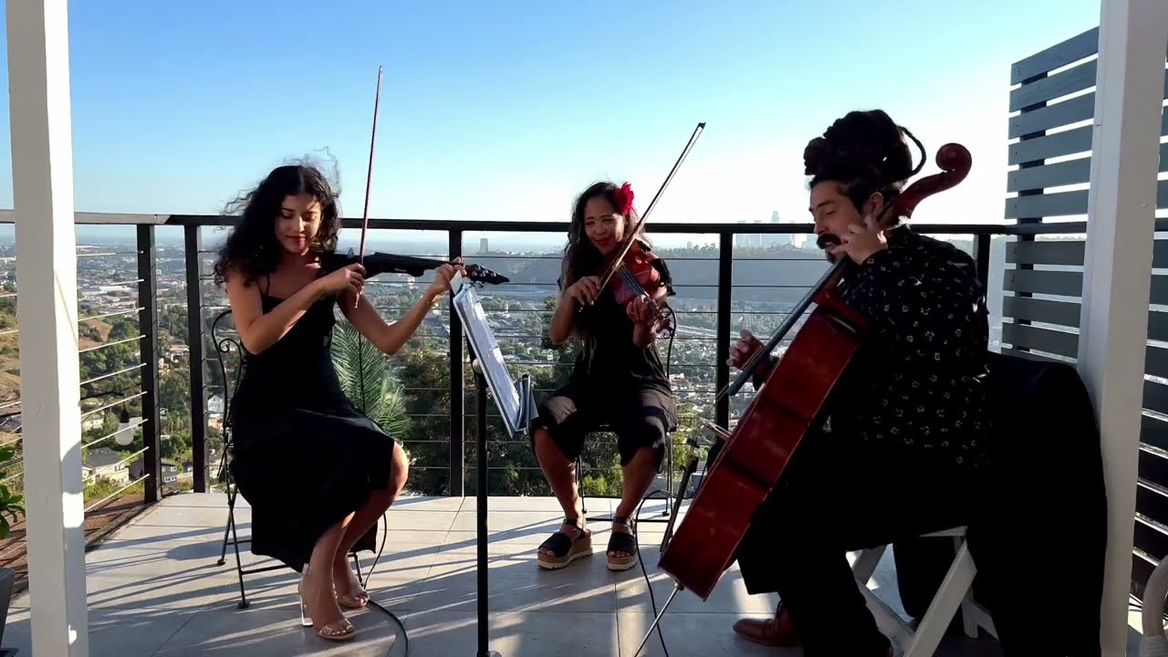 Valerie - Amy Winehouse (Sunkissed Strings Rendition)