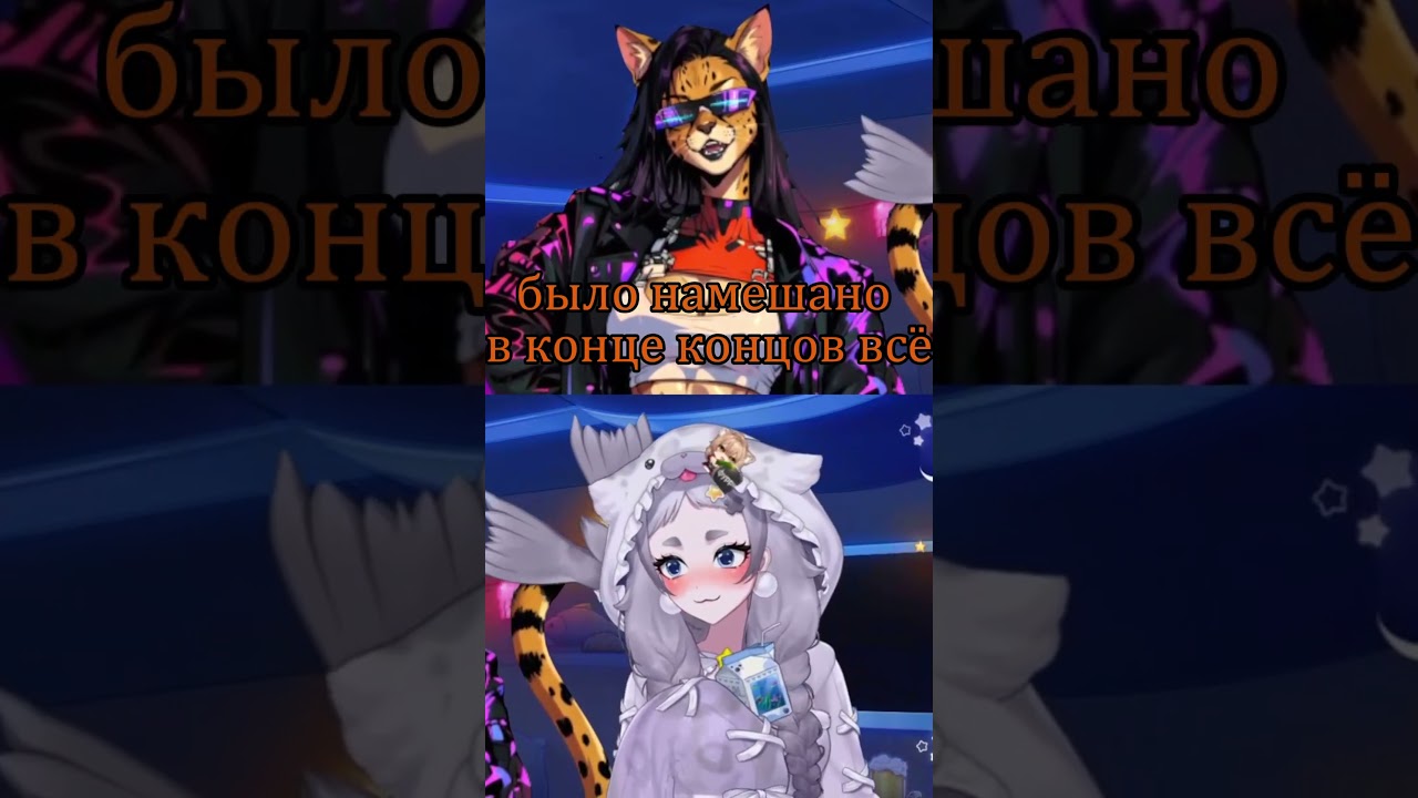 Первая встреча тюленя и кошки ч.2 #rera #reraseal #vtuber #stream #streamer #twitch