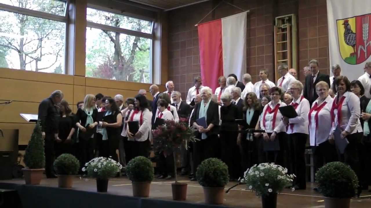 Männerchor Hambach und Gäste - Wahre Freundschaft