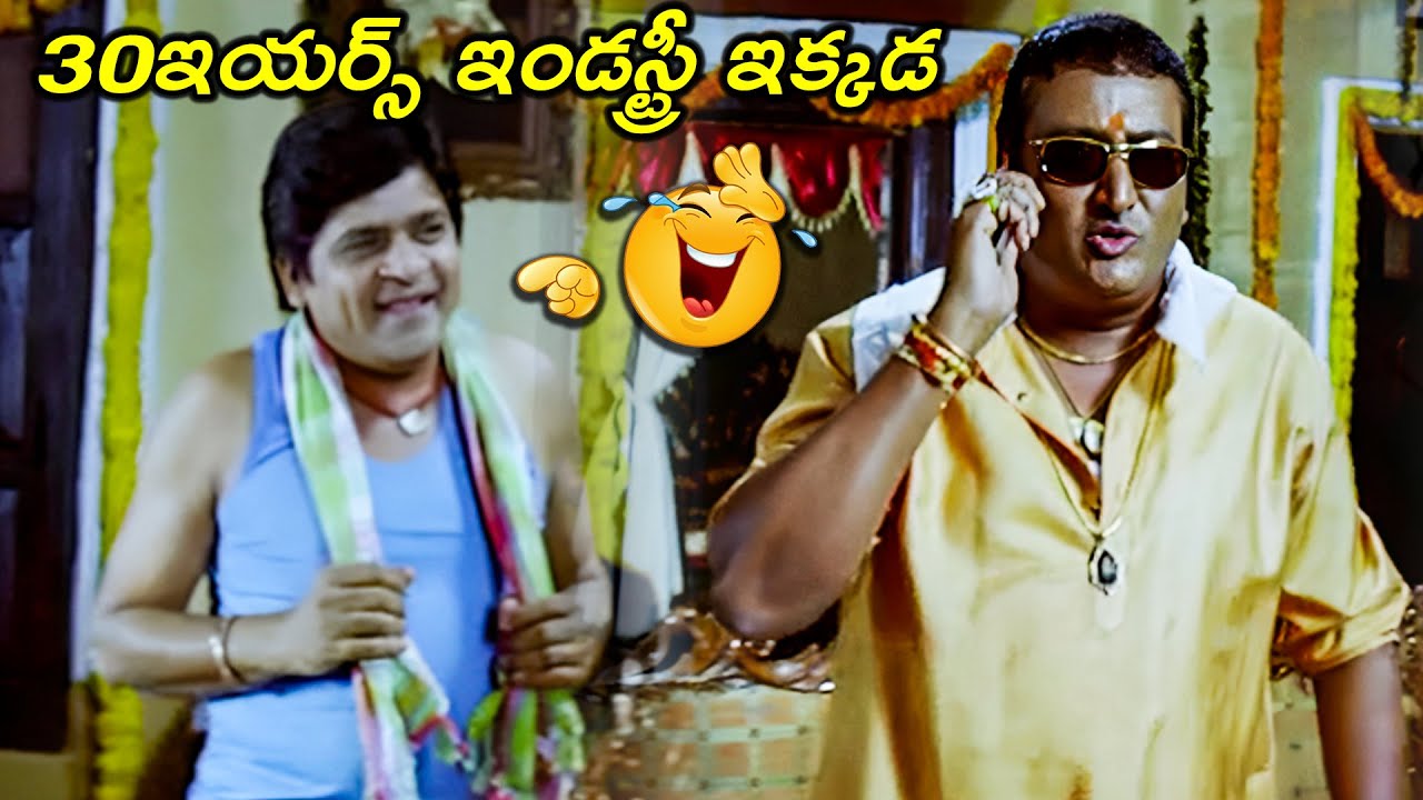 30 ఇయర్స్ ఇండస్ట్రీ ఇక్కడ...| Latest Telugu movie Prithviraj And Ali Best Comedy Scenes