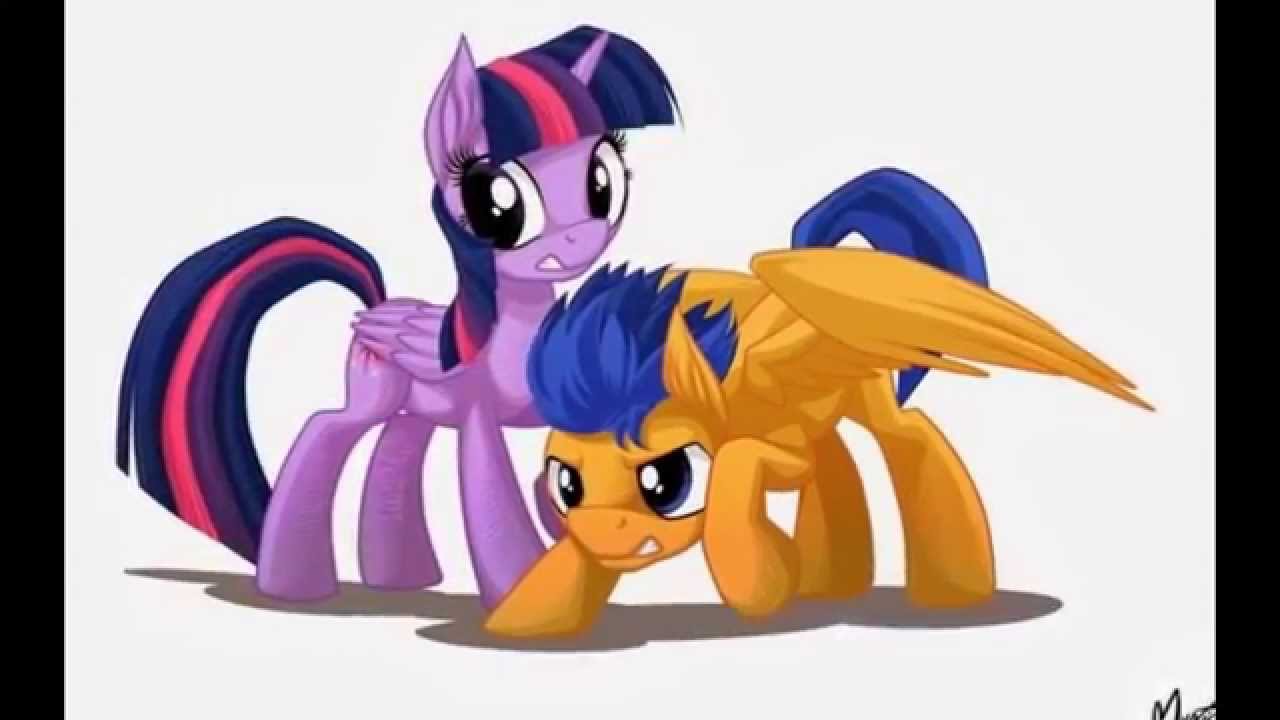 ♥MLP Flash Sentry and Twilight Sparkle♥