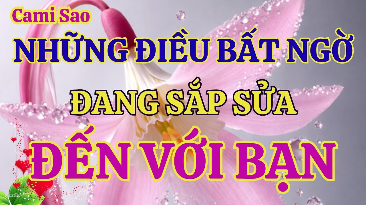 Tarot ❘ Những Điều Bất Ngờ Sắp Đến Với Bạn