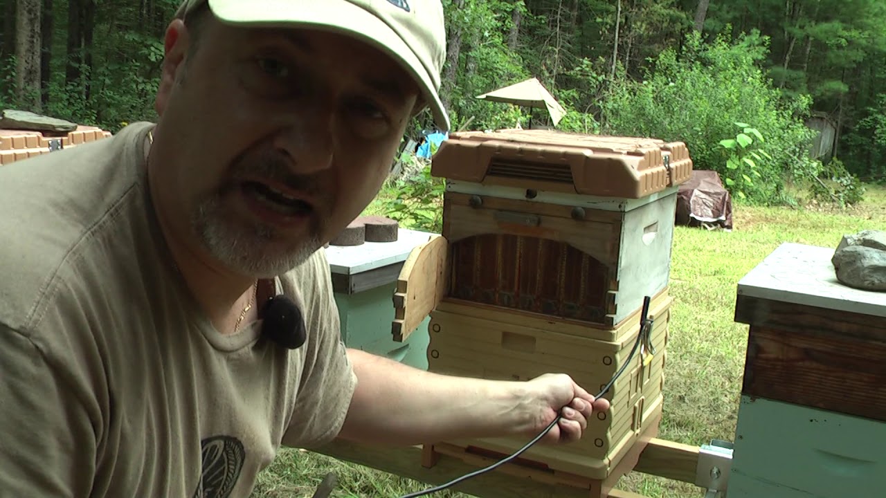 S06E02 - Endoscope camera in the Flow Hive