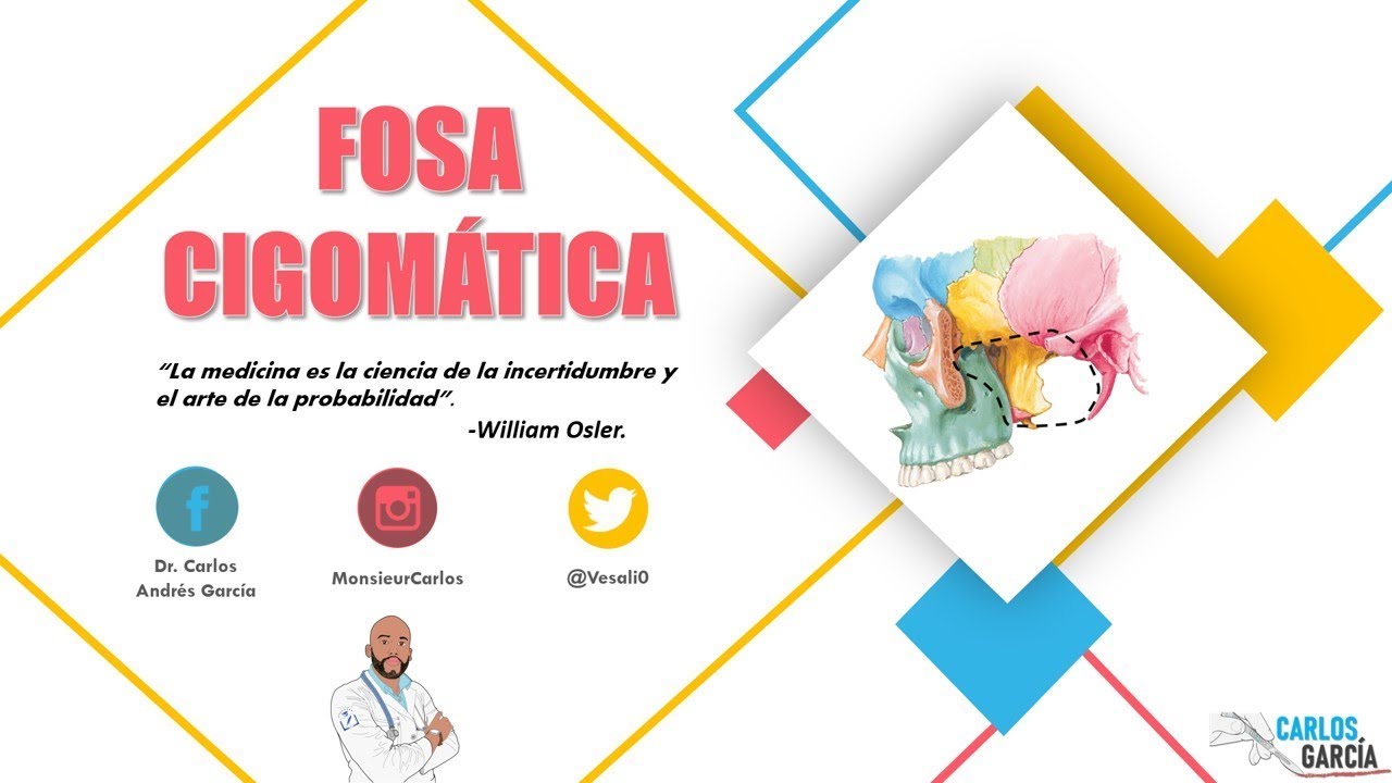 Anatomía - Fosa Infratemporal (Paredes, Contenido, Comunicaciones)