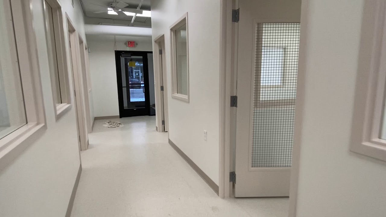 An Unedited Tour of our New Shelter - Caring for Cats No Kill Animal Shelter Minnesota