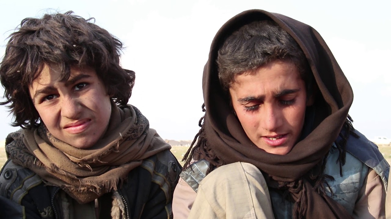 11 zarokên Êzidî ji DAIŞ hatin rizgarkirin.