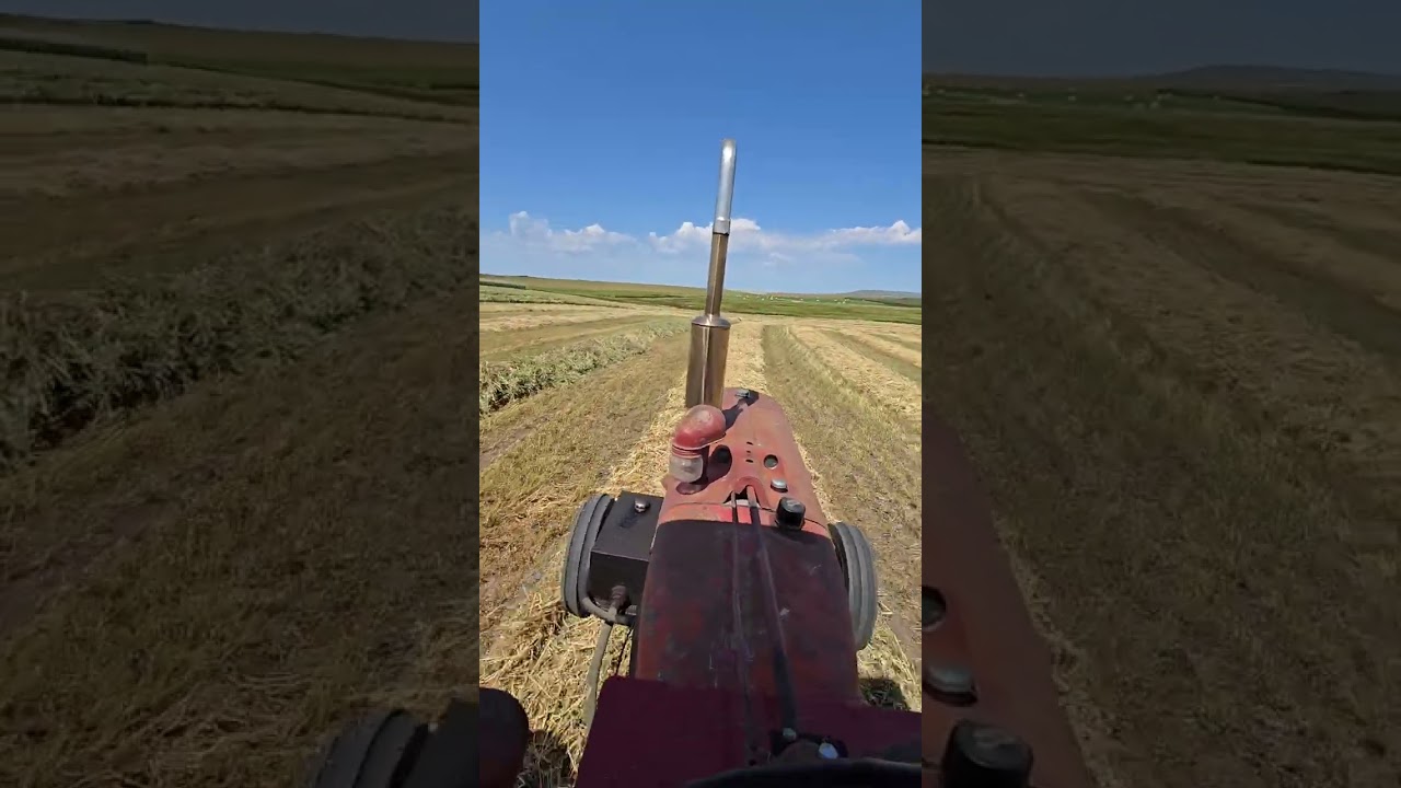 Raking oats and peas on the 41 M with M&W 9-speed 