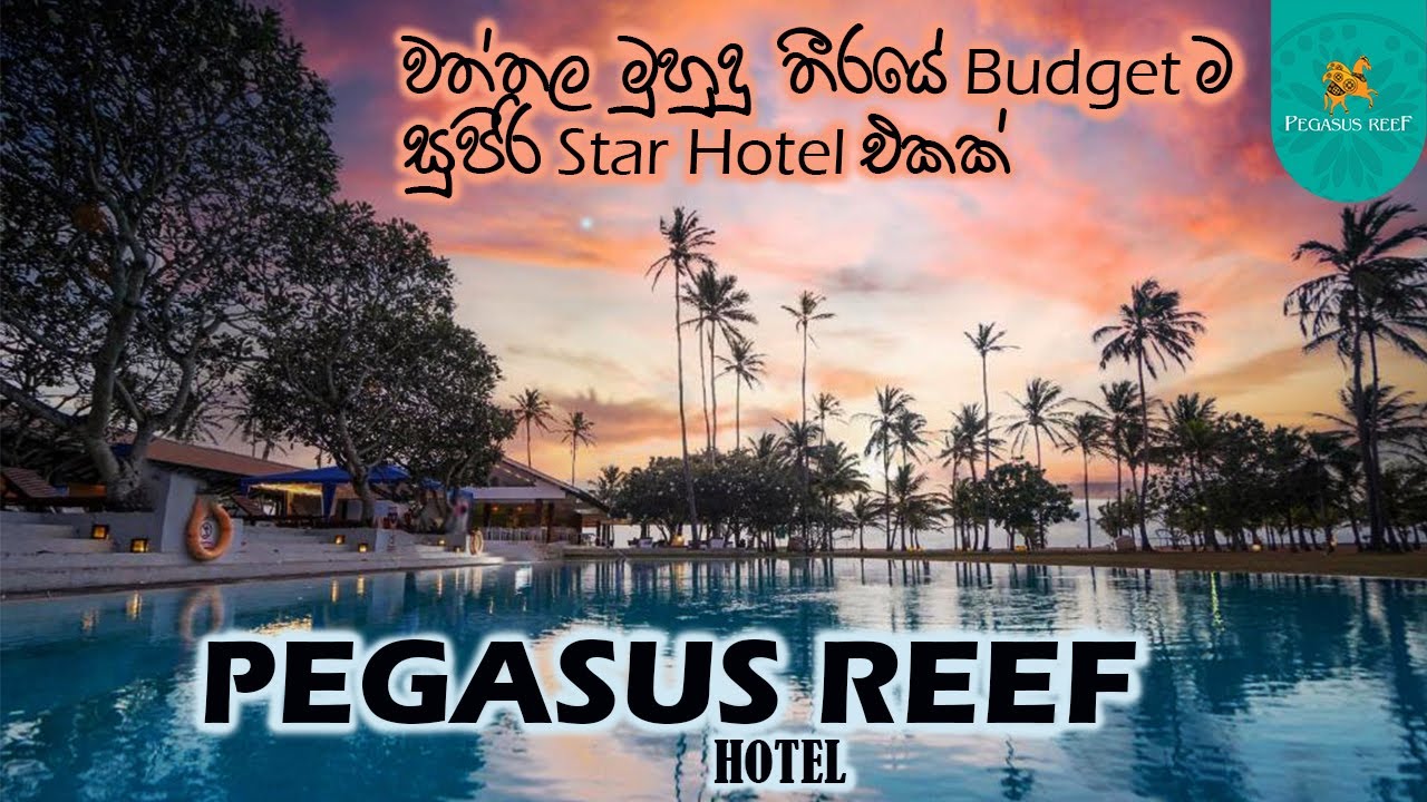 Pegasus Reef Hotel | Budget Hotels in Sri Lanka | Review #buffet #room #pool #music #service