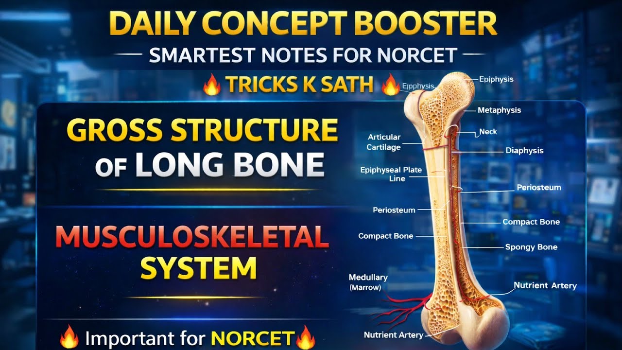 GROSS STRUCTURE OF LONG BONE | Musculoskeletal System | Nursing Competitive Exams (NORCET)