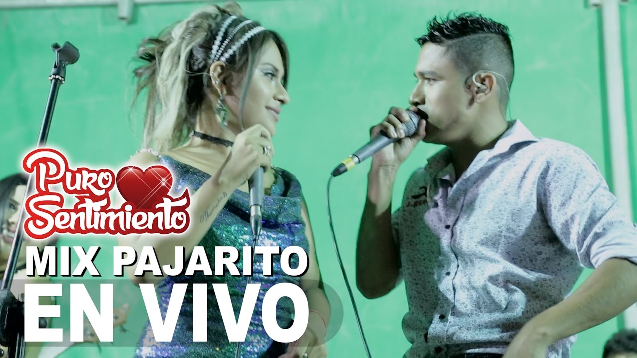 Mix Pajarito Puro Sentimiento Concierto Oficial Primicia 2017 4K
