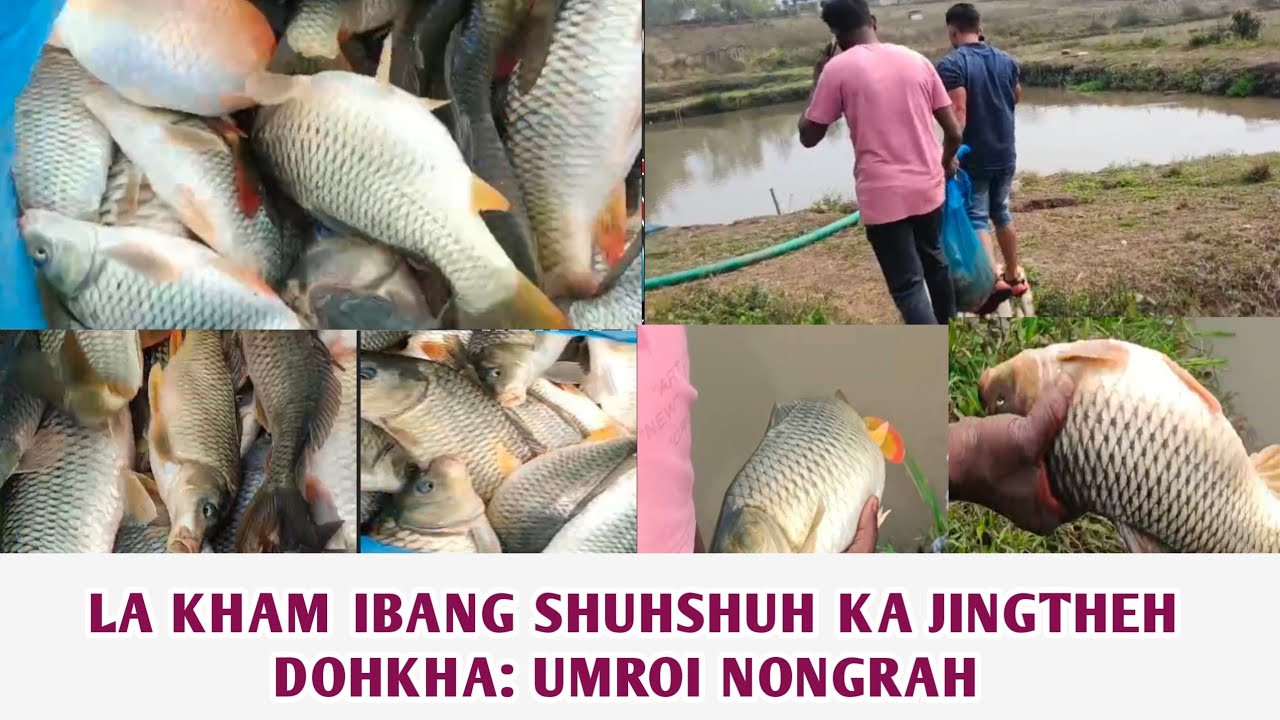 Kham pynbiang ki sai khwai,Ki Dohkha kiba kham ibang shuhshuh ladep theh:umroi Nongrah,khabang suda.