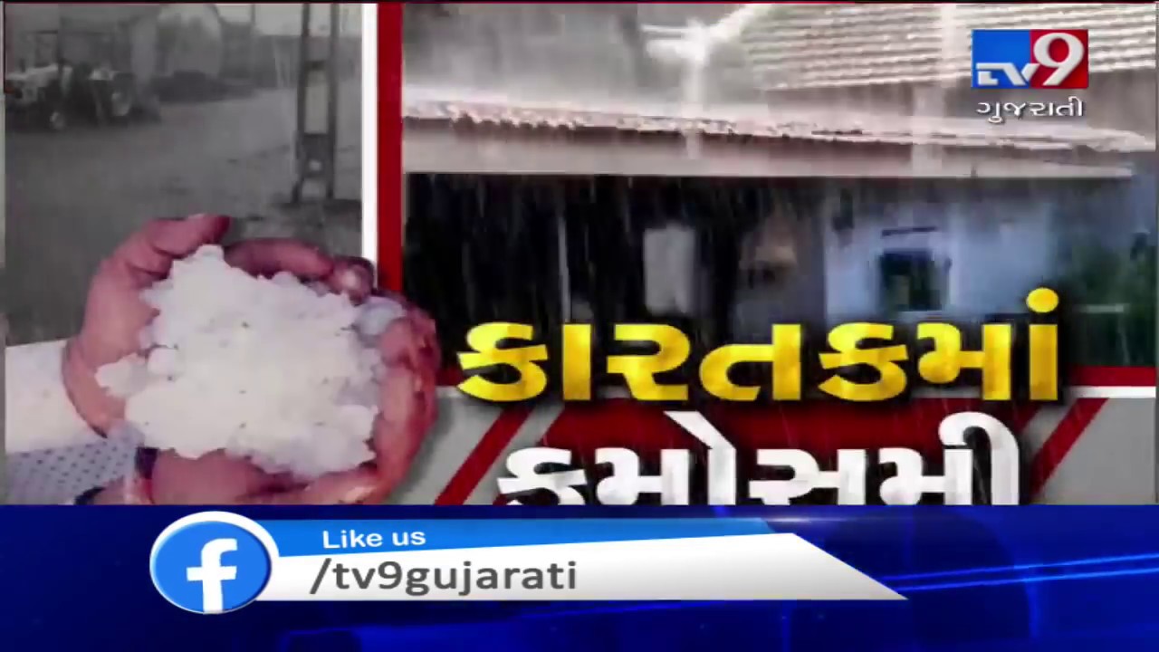 Parts of Saurashtra received unseasonal rain showers, crops destroyed | Tv9GujaratiNews