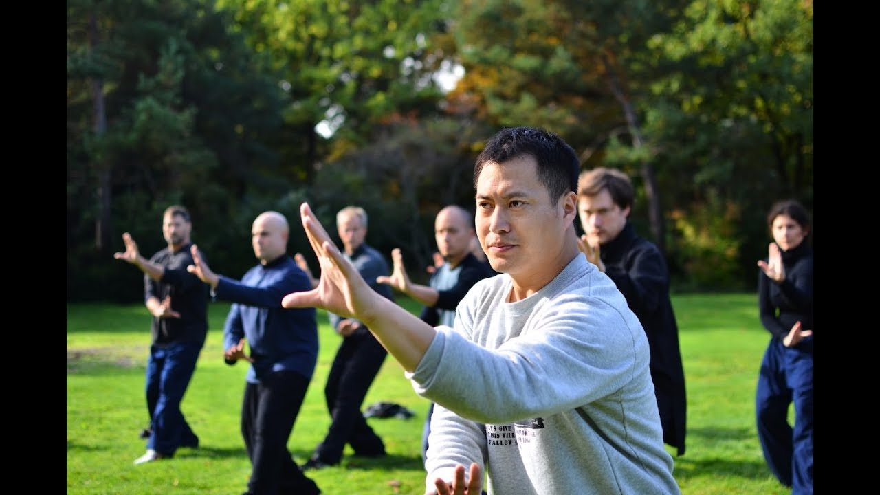 Master An Jian Qiu - Piquan Application - Xingyiquan workshop in Munich