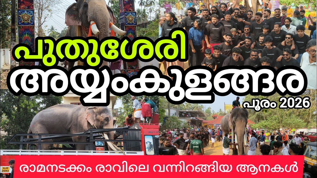 അയ്യംകുളങ്ങര ഭഗവതി ക്ഷേത്രത്തിലെ പൂരം മഹോത്സവത്തിന്റെ രാമൻ അടക്കം രാവിലെ ഇറങ്ങിയ ആനകളുടെ വീഡിയോ #Mrc