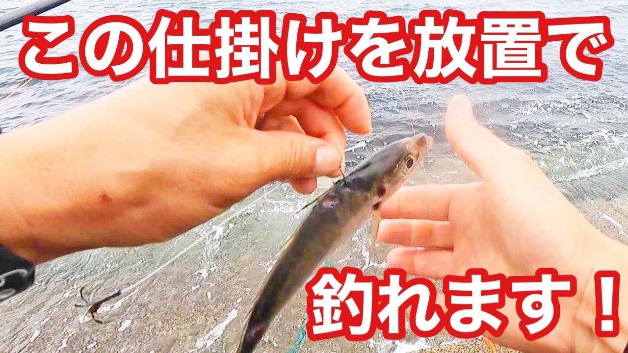 【簡単】死にアジでアオリイカが勝手に釣れる仕掛けがこれです。