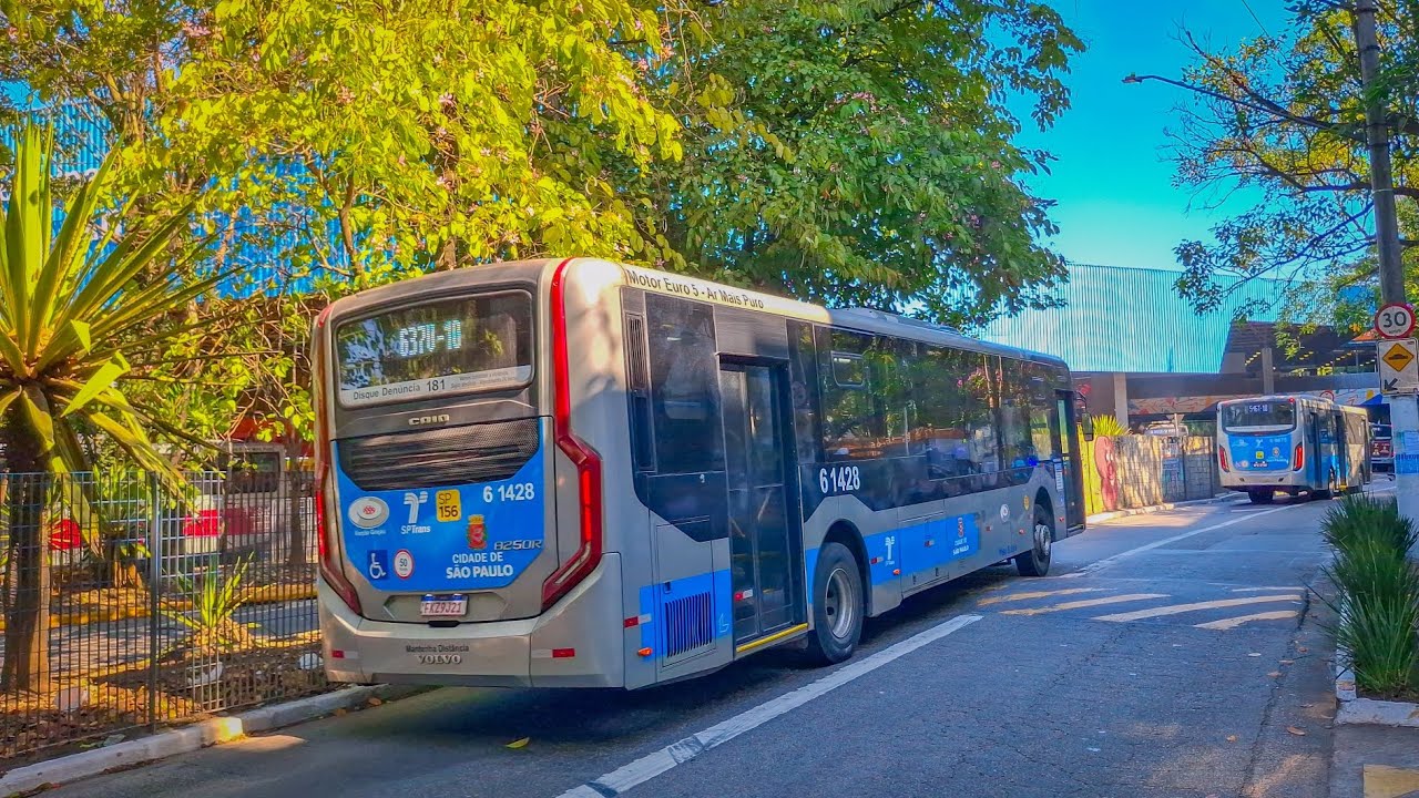 Terminal Santo Amaro (Zona Sul) Movimento de Ônibus (Vídeo II)