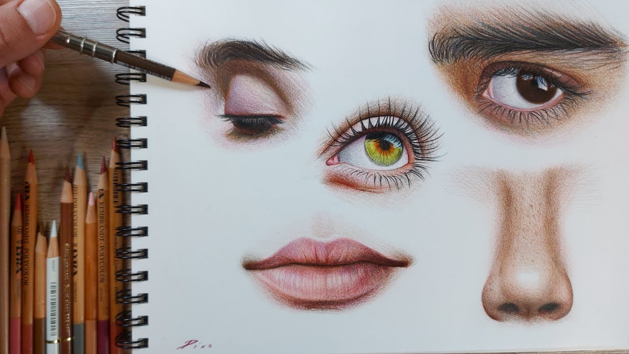 Aprende a DIBUJAR Y PINTAR las partes del rostro