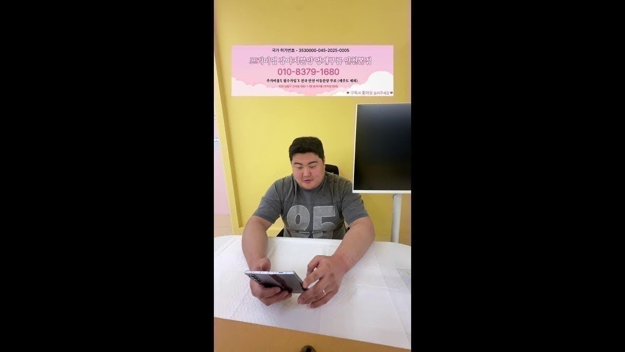 대박이벤트 강아지분양 멍개구름인천본점 라이브 #강아지분양 #강아지 #고양이 #추천 #라이브 #말티푸 #인천