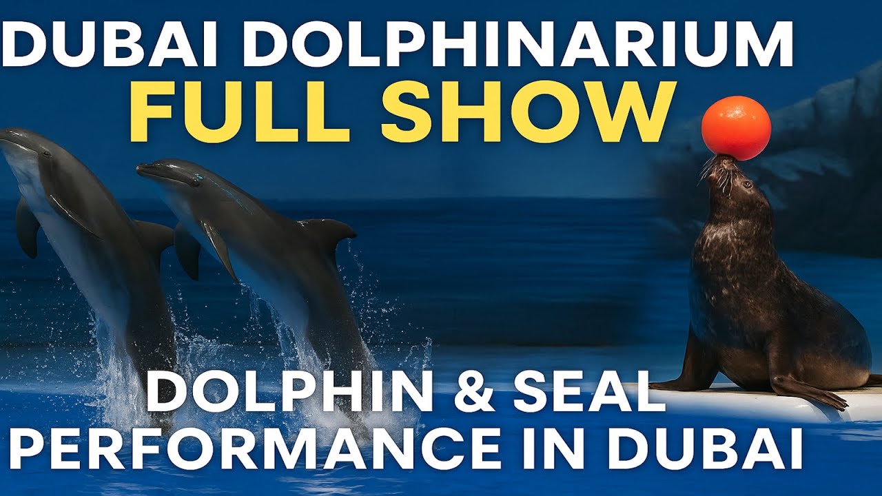 Vlog #9 | Dubai Dolphinarium Full Show | Dolphin & Seal Performance in Dubai 2025 🐬