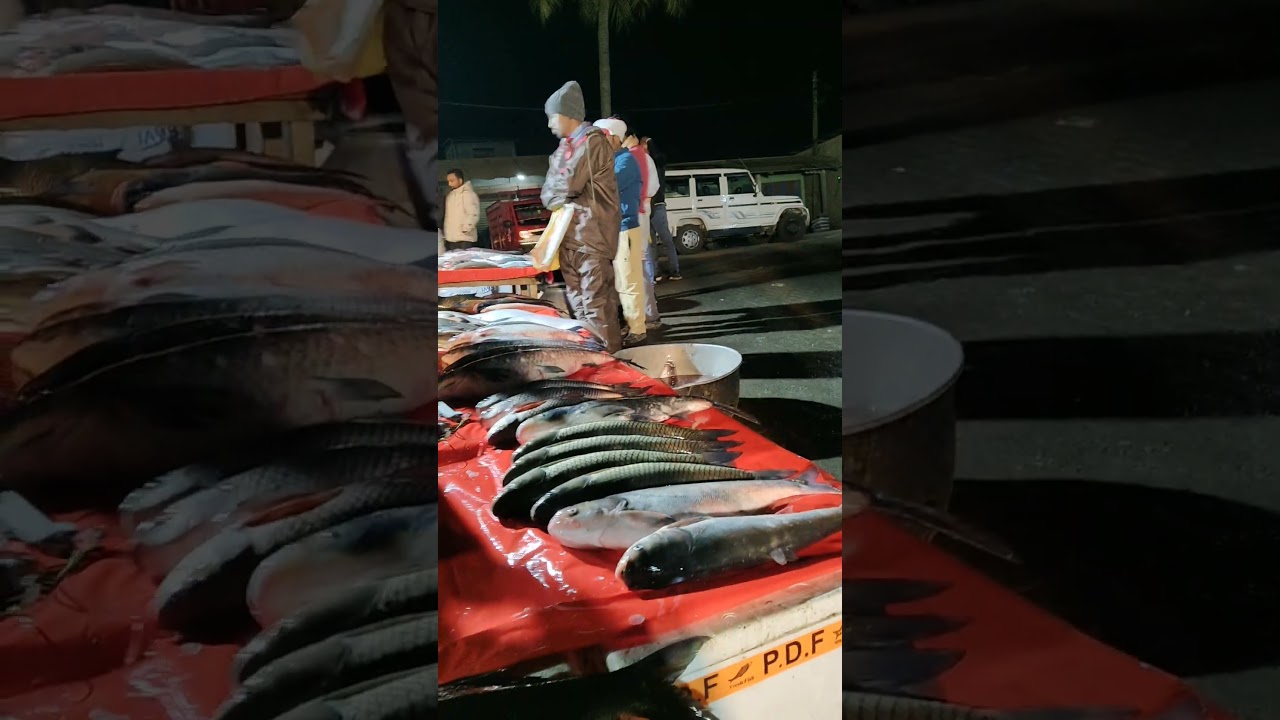 local fish market reality.  