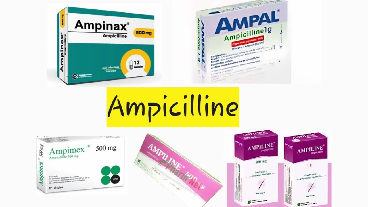 أمبيسيلين /Ampicilline شرح مبسط و شامل