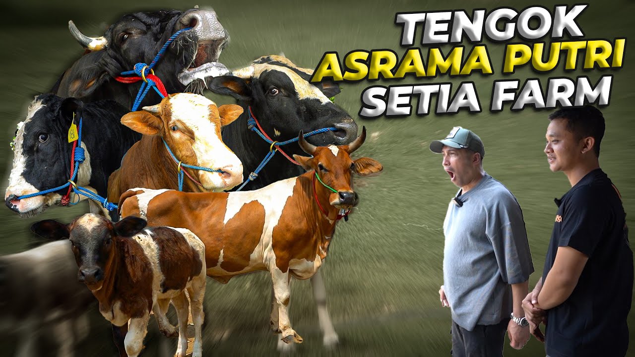 GUE BARU TAU..! TERNYATA DI SETIA FARM ADA ASRAMA PUTRI JUGA GAESS..!!