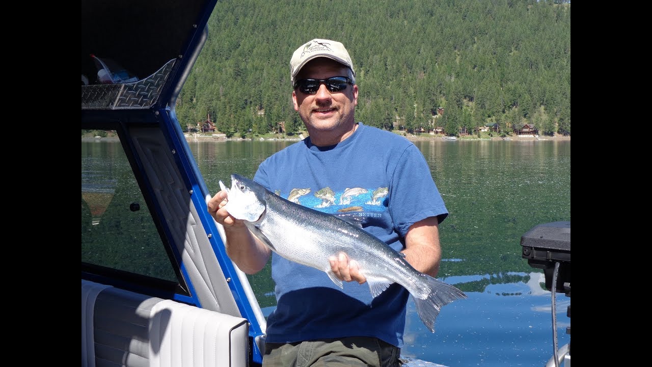 Smoking & Canning kokanee Salmon