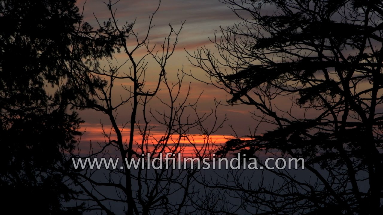 Burning sky winterline from Landour, Mussoorie