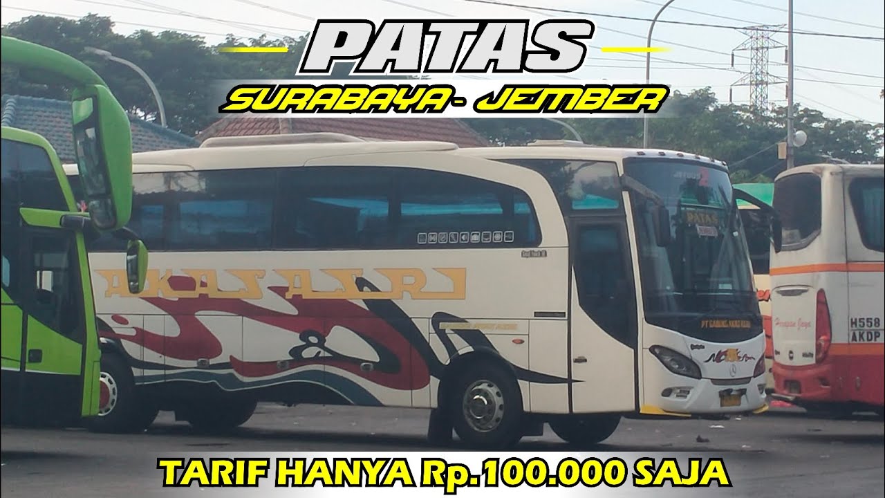 Trip naik Bus AKAS ASRI jurusan Surabaya - Jember || Bus Nyaman di Jalur Tapal kuda😍