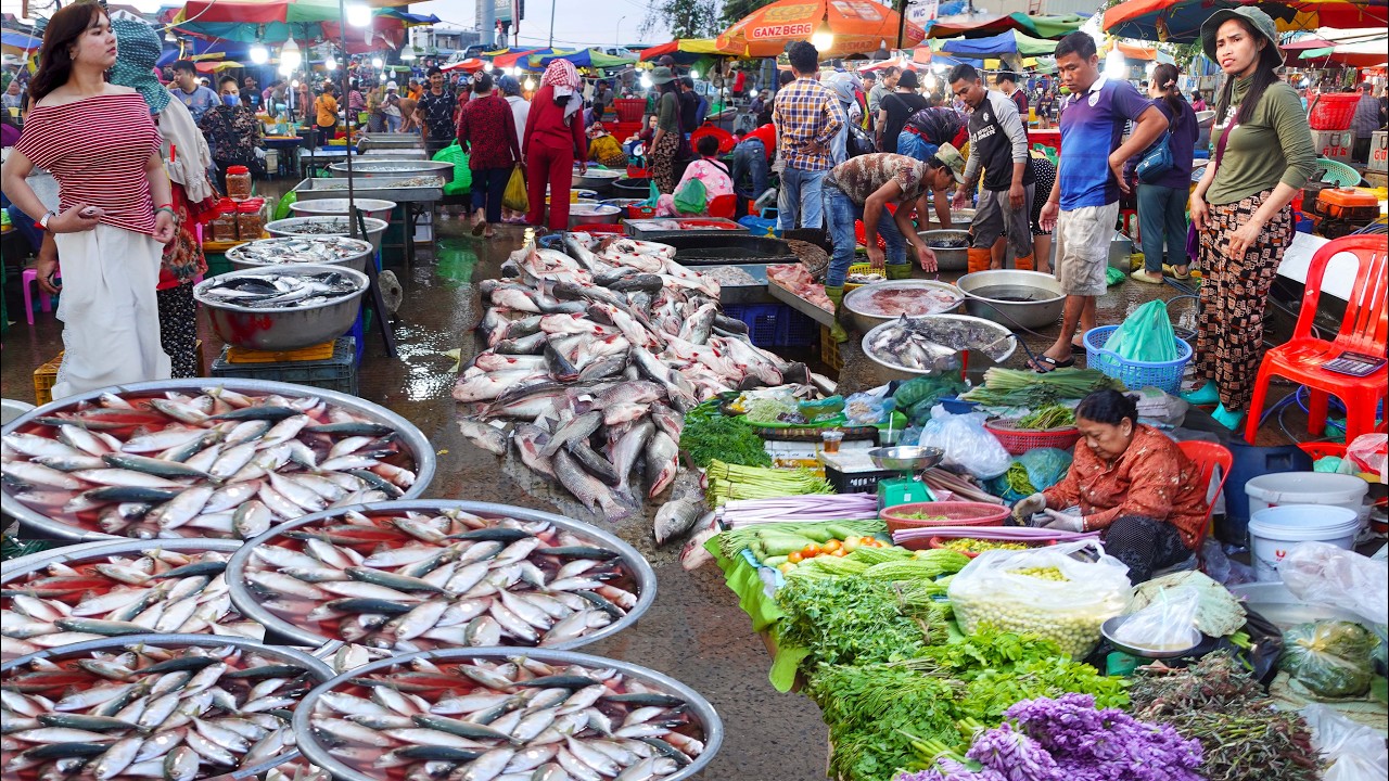 Cambodia&rsquo;s Biggest Fish Markets Incredible - Fresh Vegetable Market & Vibrant Local Culture