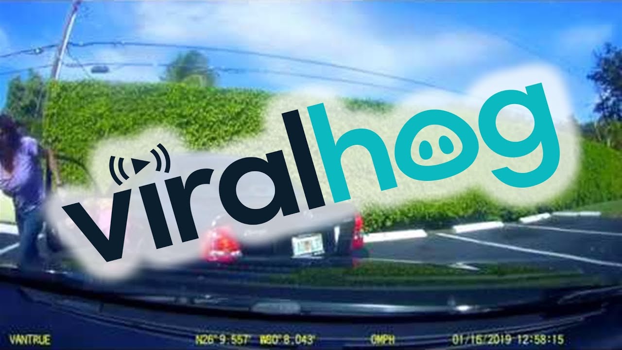 Driver Chased Down After Hit and Run || ViralHog
