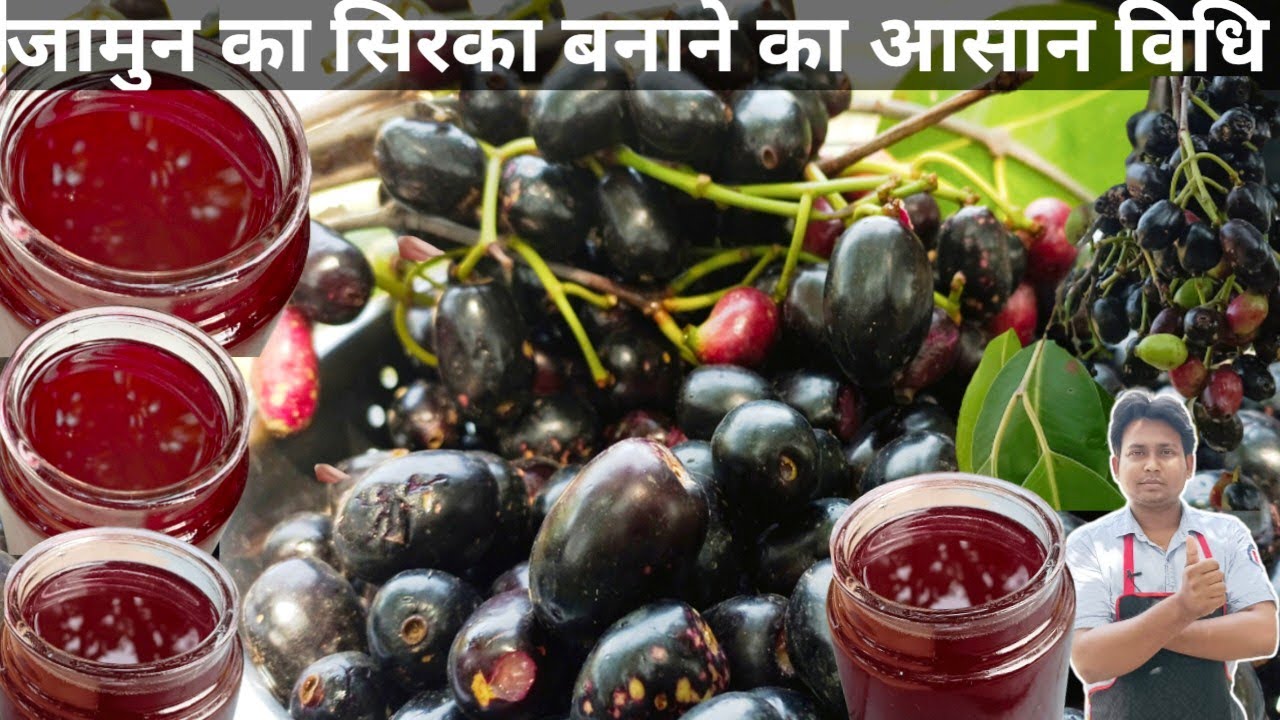 Jamun Ka Sirka Banane Ka Tarika|Black Berry Vinegar|जामुन का सिरका के फायदे जान के हैरान हो जाएंगे|