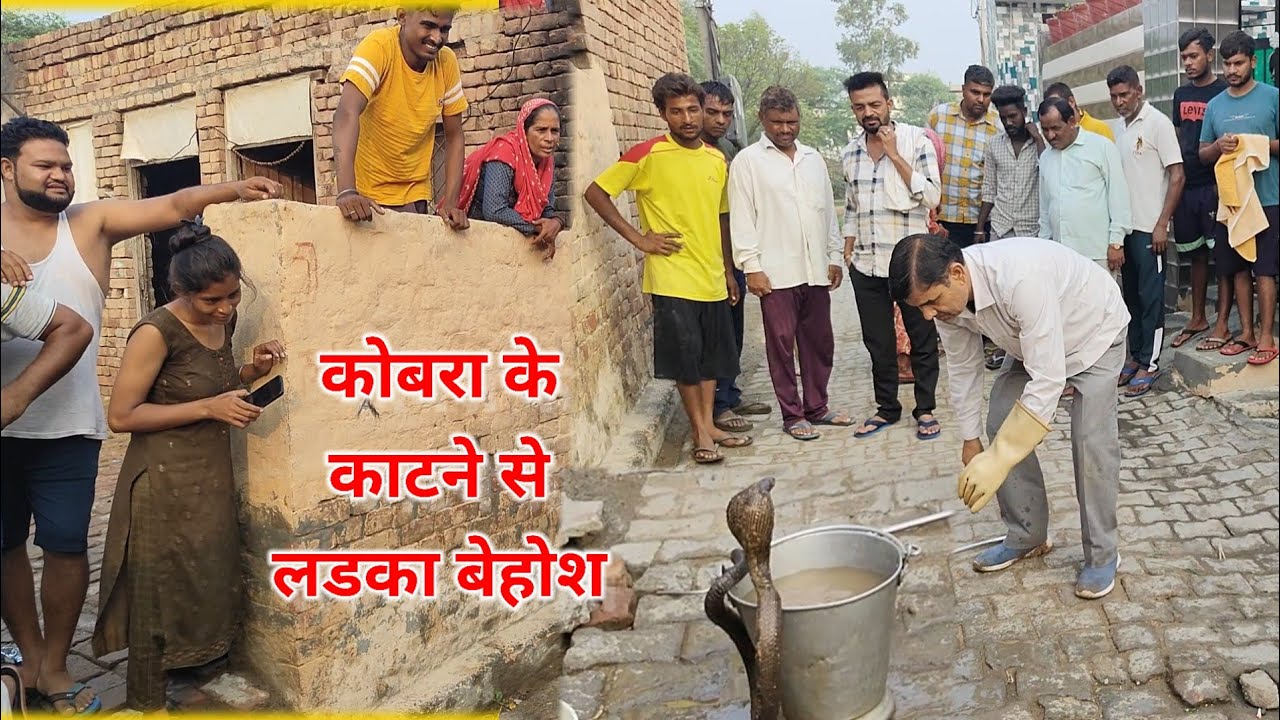 ग्यारह वर्ष के अमित को कोबरा ने काटा, अमित 20 मिनट में  बेहोश, हालत गंभीर/स्नेकमैन सतीश (फफड़ाना)