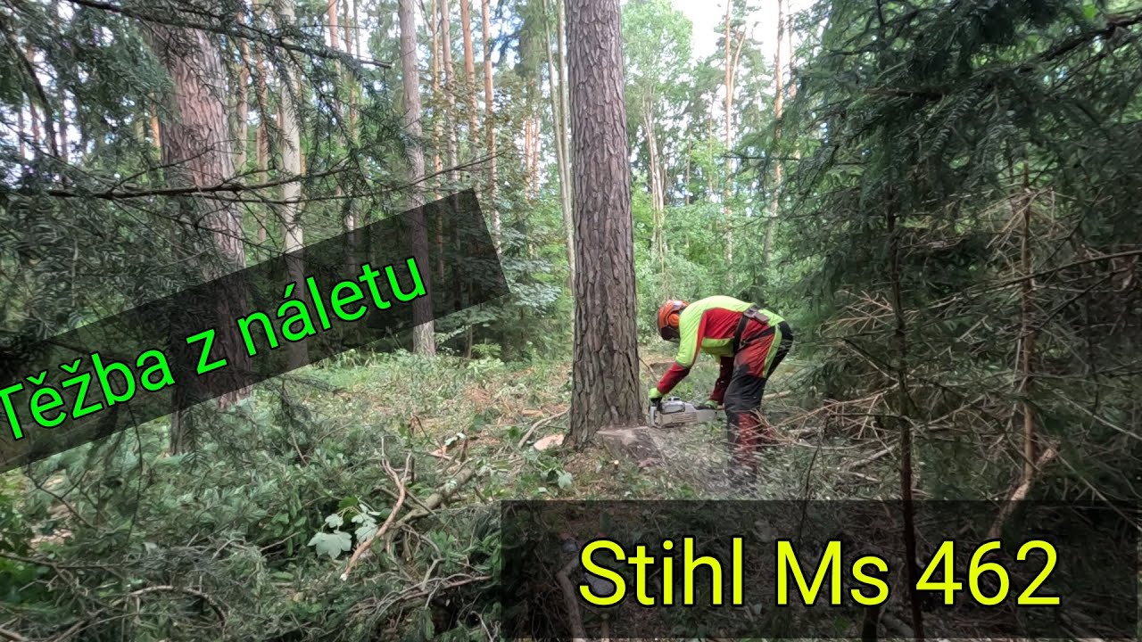 Pokračování těžba dřeva z náletu, Stihl Ms 462, Agama aga 2, JP Forest