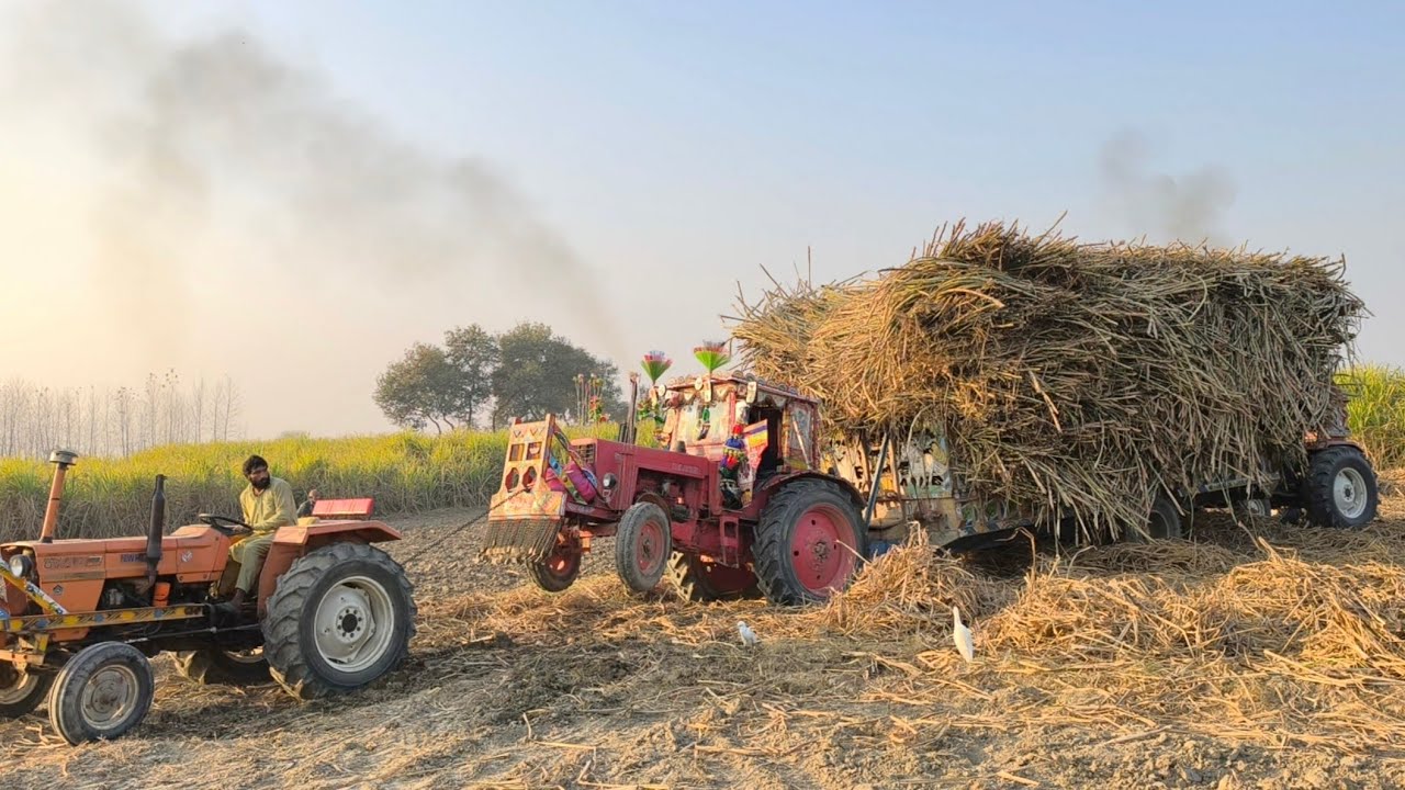 New Holland & Belarus tractor |  tractors pulling out trolley 