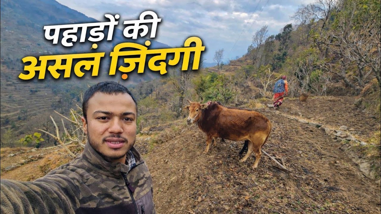 आज से खेतों का काम भी शुरू हो गया || New Home || Pahadi Lifestyle Vlog || Namaste Pahad || Ashutosh