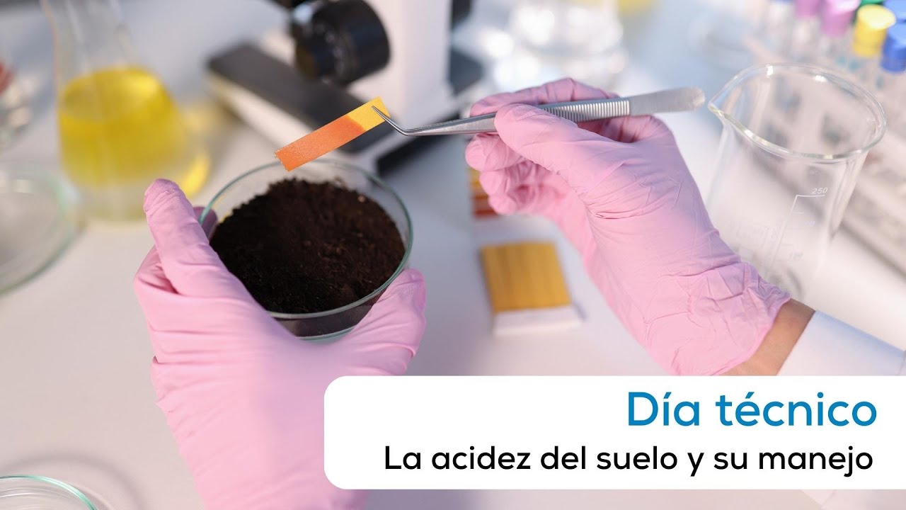 La acidez del suelo y su manejo