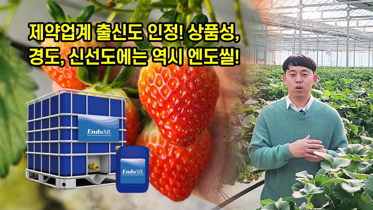 제약업계 출신 청년농업인 인정, 상품성, 경도, 신선도에는 엔도산!