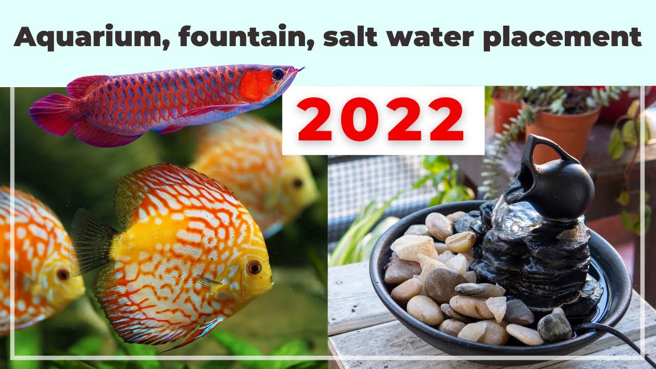 2022 - aquarium, water fountain, and salt water cure best placement